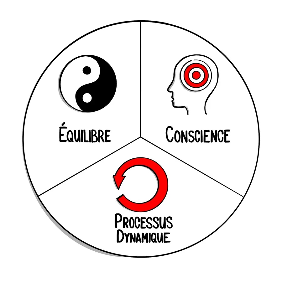 Équilibre, conscience, processus dynamique — dessin de Lars Hoop